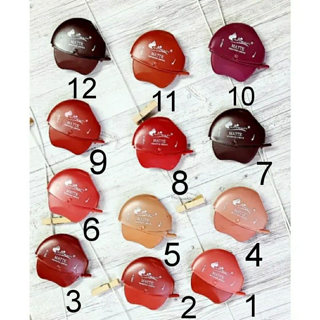 Valvet Mate Lipstick Pack of 6 Shades